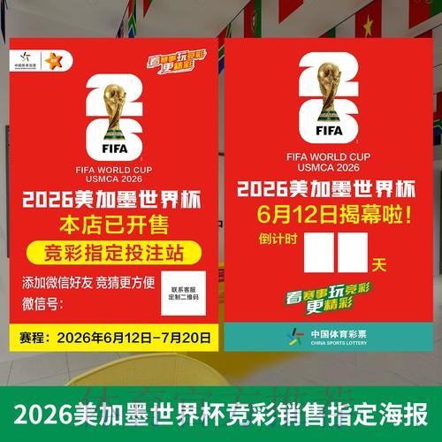 2026世界杯投注排行榜：全方位解读与专业推荐